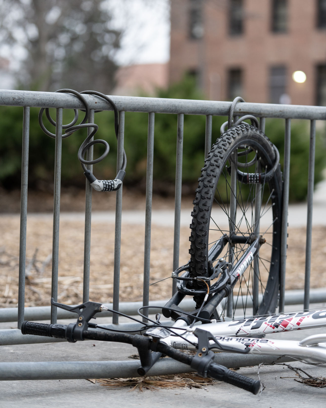 Empty Campus Photo No. 21